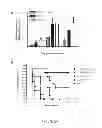 Fig. 27 - Methods for regulating protein function in cells in vivo using synthetic small molecules