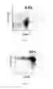 Fig. 03 - Method for Treating Cancers with Dendritic Killer Cells and Pharmaceutical Composition