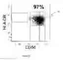 Fig. 04 - Method for Treating Cancers with Dendritic Killer Cells and Pharmaceutical Composition