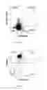 Fig. 05 - Method for Treating Cancers with Dendritic Killer Cells and Pharmaceutical Composition