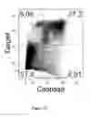 Fig. 06 - Method for Treating Cancers with Dendritic Killer Cells and Pharmaceutical Composition