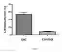 Fig. 08 - Method for Treating Cancers with Dendritic Killer Cells and Pharmaceutical Composition