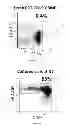 Fig. 05 - Formulation and Method for Preparing Specific T Cell, and Method for Preparing the Formulation