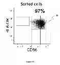 Fig. 06 - Formulation and Method for Preparing Specific T Cell, and Method for Preparing the Formulation