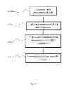 Fig. 10 - Formulation and Method for Preparing Specific T Cell, and Method for Preparing the Formulation