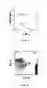 Fig. 11 - Formulation and Method for Preparing Specific T Cell, and Method for Preparing the Formulation