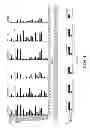 Fig. 02 - Protein-binding peptide isolated from placenta growth factor