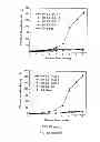 Fig. 07 - BARLEY PROTEIN MICROCAPSULES