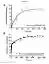 Fig. 11 - MULTIFUNCTIONAL BIODEGRADABLE PEG NANOCARRIER-BASED HYDROGELS FOR PREVENTING HIV TRANSMISSION