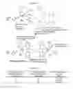 Fig. 13 - MULTIFUNCTIONAL BIODEGRADABLE PEG NANOCARRIER-BASED HYDROGELS FOR PREVENTING HIV TRANSMISSION