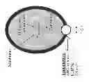 Fig. 02 - LIPOSOMES FOR PROTECTION AGAINST TOXIC COMPOUNDS