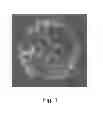 Fig. 02 - SELF-ASSEMBLING NANOPARTICLE DRUG DELIVERY SYSTEM