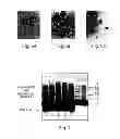 Fig. 07 - SELF-ASSEMBLING NANOPARTICLE DRUG DELIVERY SYSTEM