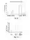 Fig. 09 - SELF-ASSEMBLING NANOPARTICLE DRUG DELIVERY SYSTEM