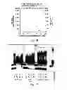 Fig. 13 - SELF-ASSEMBLING NANOPARTICLE DRUG DELIVERY SYSTEM