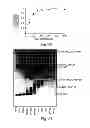 Fig. 15 - SELF-ASSEMBLING NANOPARTICLE DRUG DELIVERY SYSTEM
