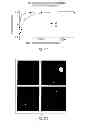 Fig. 16 - SELF-ASSEMBLING NANOPARTICLE DRUG DELIVERY SYSTEM