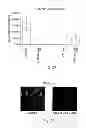 Fig. 17 - SELF-ASSEMBLING NANOPARTICLE DRUG DELIVERY SYSTEM