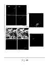 Fig. 18 - SELF-ASSEMBLING NANOPARTICLE DRUG DELIVERY SYSTEM