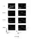 Fig. 09 - COMPOSITIONS COMPRISING SACCHARIDE BINDING MOIETIES AND METHODS FOR TARGETED THERAPY