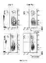 Fig. 14 - COMPOSITIONS COMPRISING SACCHARIDE BINDING MOIETIES AND METHODS FOR TARGETED THERAPY
