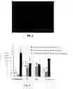 Fig. 06 - Modified starch material of biocompatible hemostasis