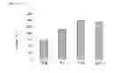 Fig. 04 - Bioeffective krill oil compositions
