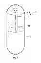 Fig. 02 - Krill oil and carotenoid composition, associated method and delivery system