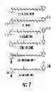 Fig. 08 - Krill oil and carotenoid composition, associated method and delivery system