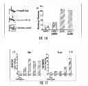 Fig. 06 - Methods for affecting homology-directed DNA double stranded break repair