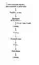Fig. 02 - Pharmaceutical composition for preventing or treating inflammatory diseases comprising trachelospermi caulis extract and paeonia suffruticosa andrews extract, and method for preparing the same