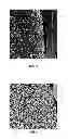 Fig. 03 - SINTERING ADDITIVES FOR CERAMIC DEVICES OBTAINABLE IN A LOW pO2 ATMOSPHERE