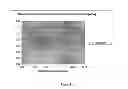Fig. 02 - METHOD FOR PREPARING ANTISTATIC UV CURABLE HARDCOATINGS ON OPTICAL ARTICLES