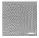 Fig. 01 - DIRECTED ASSEMBLY OF POLY (STYRENE-B-GLYCOLIC ACID) BLOCK COPOLYMER FILMS
