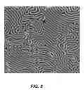Fig. 09 - DIRECTED ASSEMBLY OF POLY (STYRENE-B-GLYCOLIC ACID) BLOCK COPOLYMER FILMS