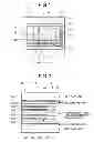 Fig. 02 - Combustion burner, solid-fuel-combustion burner, solid-fuel-combustion boiler, boiler, and method for operating boiler
