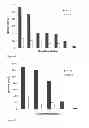 Fig. 04 - Chinese hamster ovary cell line