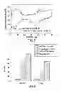 Fig. 08 - Rapid synthesis of fuel cell catalyst using controlled microwave heating
