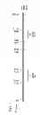 Fig. 02 - SELECTION OF SINGLE NUCLEIC ACIDS BASED ON OPTICAL SIGNATURE