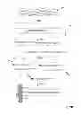 Fig. 06 - Tagged fragment library configured for genome or cDNA sequence analysis