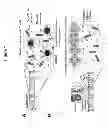 Fig. 02 - Scalable bio-element analysis