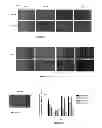 Fig. 02 - Method for regulating neurite growth