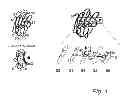 Fig. 02 - NOVEL SYNTHESIS OF GALACTOSIDE INHIBITORS