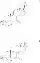 Fig. 02 - Steroids having increased water solubility and resistance against metabolism, and methods for their production