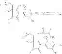 Fig. 143 - Substituted 3-(biphenyl-3-yl)-8,8-difluoro-4-hydroxy-1-azaspiro[4.5]dec-3-en-2-ones for therapy