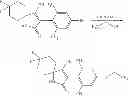 Fig. 146 - Substituted 3-(biphenyl-3-yl)-8,8-difluoro-4-hydroxy-1-azaspiro[4.5]dec-3-en-2-ones for therapy