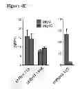 Fig. 07 - Compositions and methods for treating leukemia