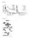 Fig. 16 - Compositions and methods for treating leukemia