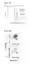 Fig. 23 - Compositions and methods for treating leukemia