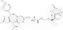 Fig. 412 - Compositions and methods for treating leukemia